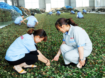 拓野員工風(fēng)采